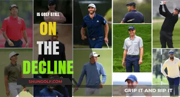 Golf's Future: Is the Sport in Jeopardy?
