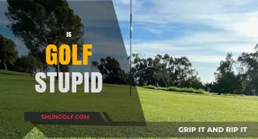 Golf: A Waste of Time and Space?