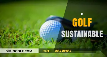 Golf's Sustainability: Is the Sport Environmentally Friendly?