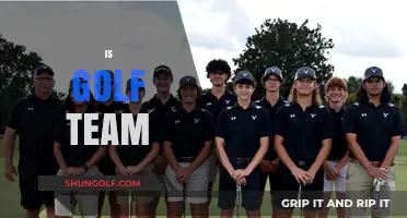 Golf: Team Sport or Individual Pursuit?