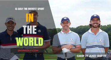 Golf's Wealth: Is It the Richest Sport Globally?