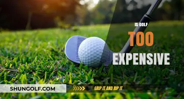 Golf: An Expensive Hobby?