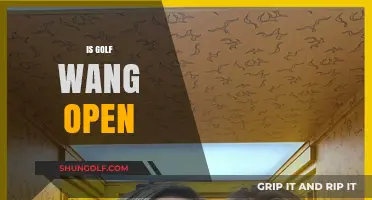 Is Golf Wang Open? Exploring Tyler, the Creator's Brand Availability