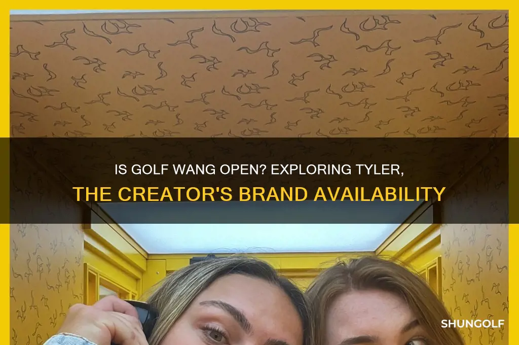 is golf wang open