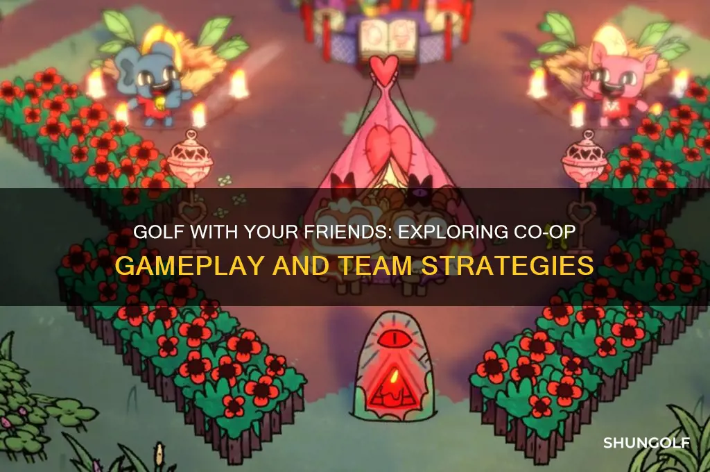 is golf with your friends co op
