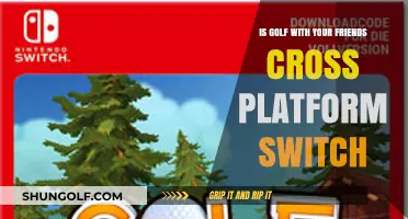 Golf With Your Friends: Cross-Platform Play on Nintendo Switch?