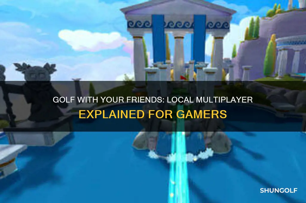 is golf with your friends local multiplayer