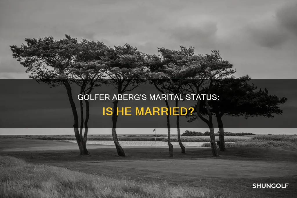 is golfer aberg married