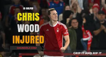 Injuries: What's Happening with Golfer Chris Wood?