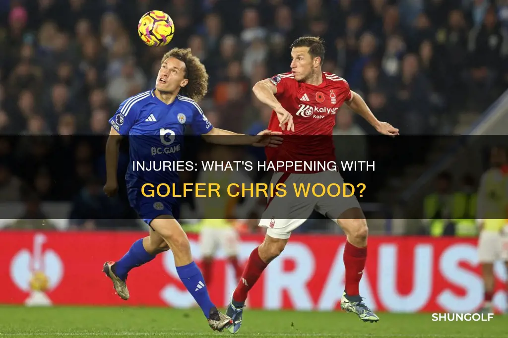 is golfer chris wood injured