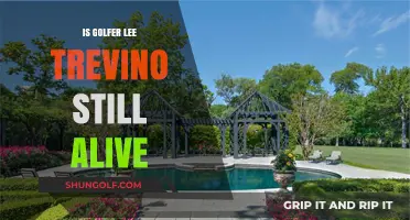 Is Lee Trevino Still Golfing?