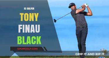 Who is Tony Finau? Exploring His Ethnicity and Background