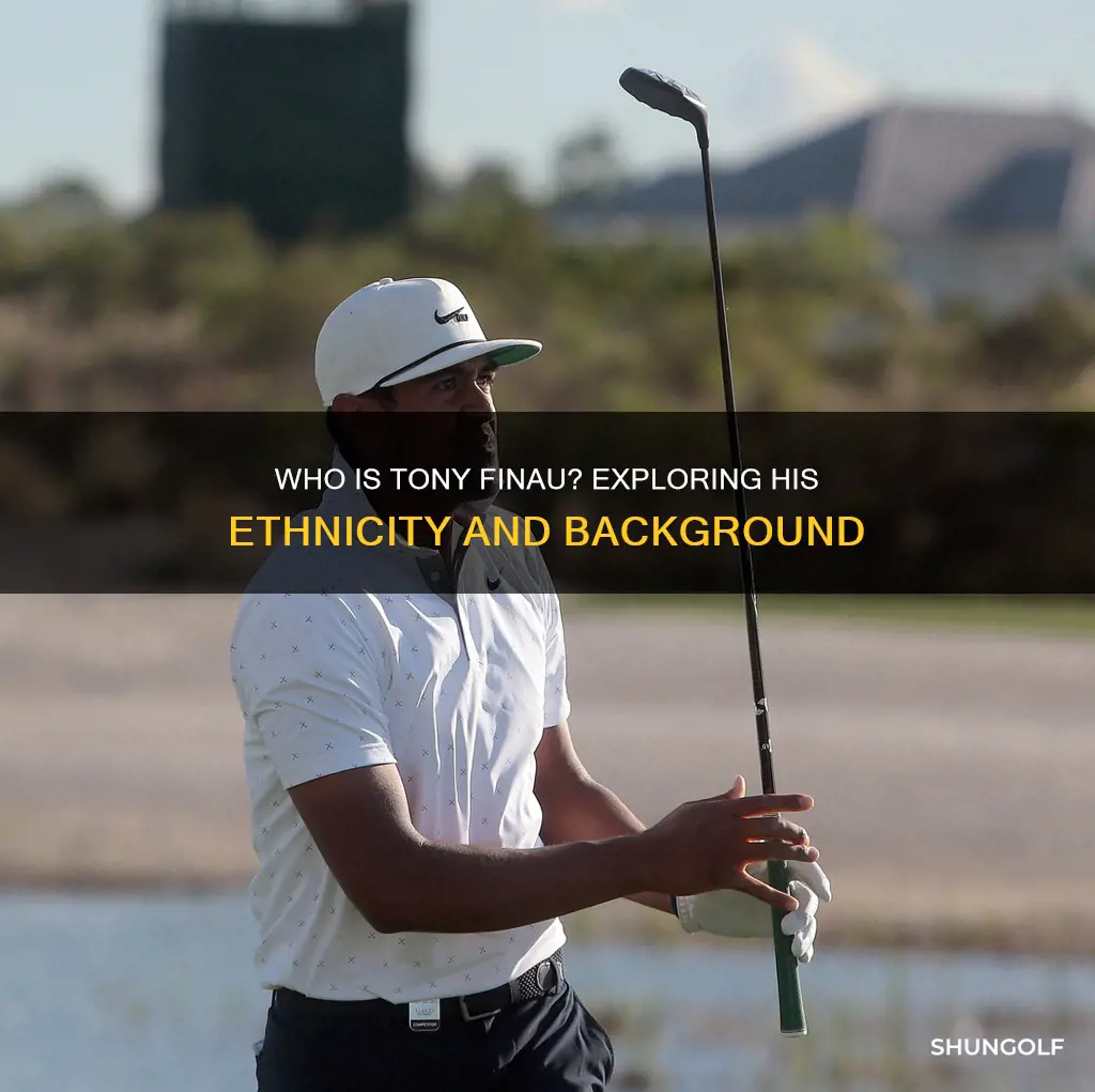 is golfer tony finau black