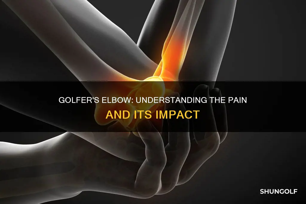 is golfer