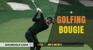 Golfing: An Expensive Hobby or a Bougie Pastime?