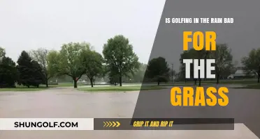 Golfing in the Rain: Impact on Grass Health and Maintenance