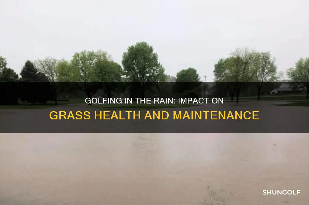 is golfing in the rain bad for the grass