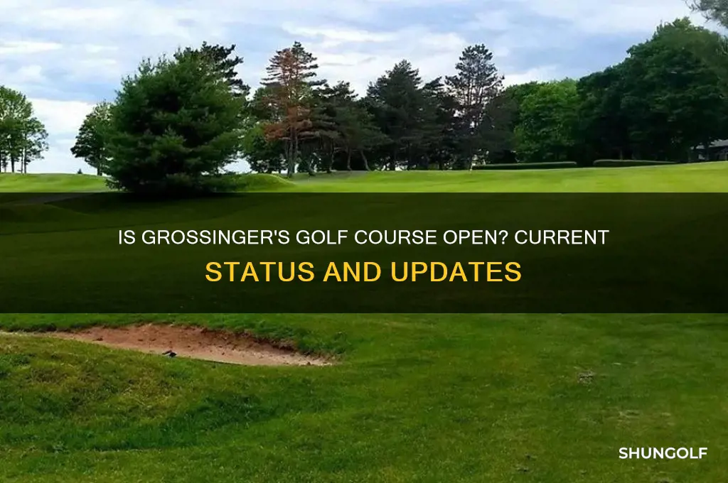 is grossinger