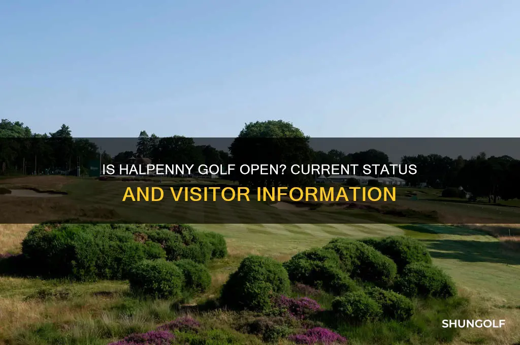 is halpenny golf open