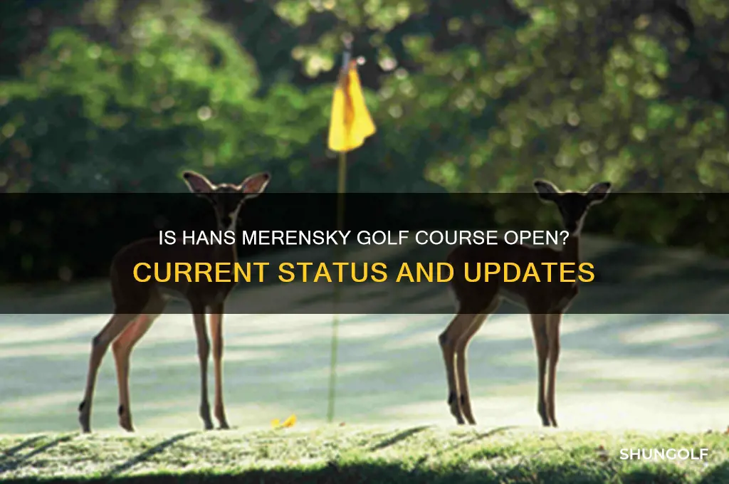 is hans merensky golf course open