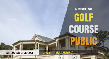 Is Harbor Town Golf Course Public? Exploring Access and Membership Details