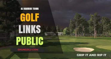 Harbor Town Golf Links: A Public Course with Private Feel