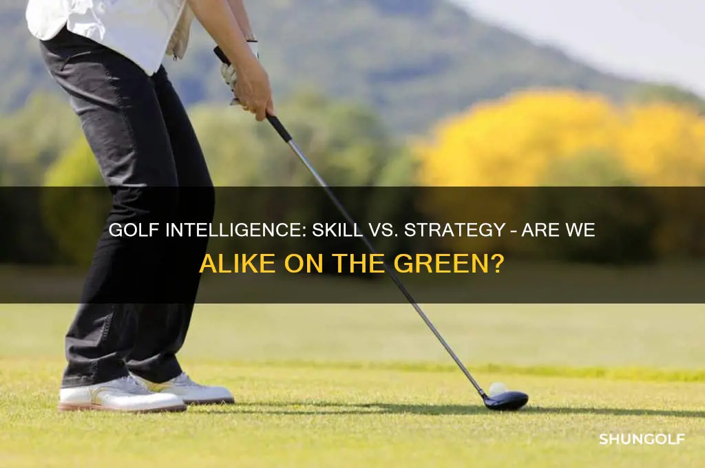 is he smart or is he like me golf