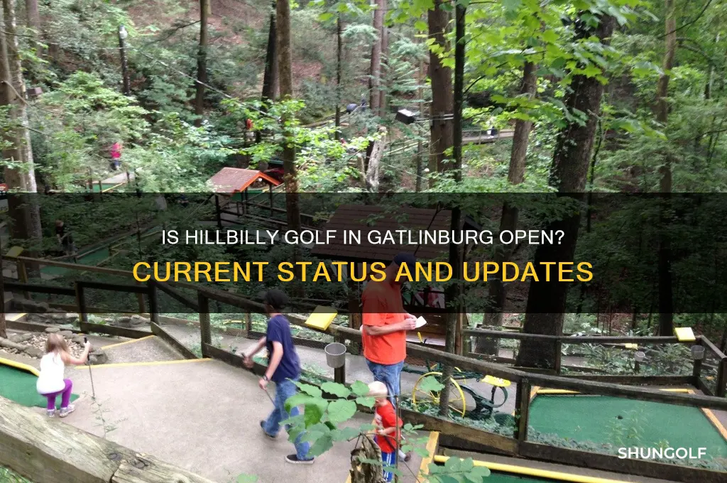 is hillbilly golf in gatlinburg open