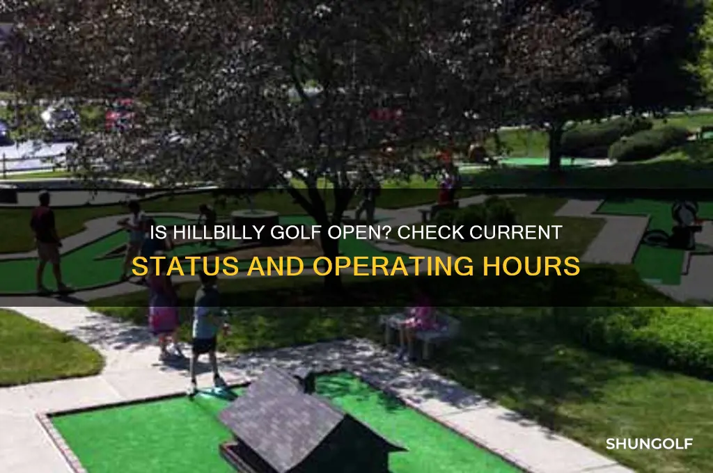 is hillbilly golf open