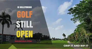 Is Holleybrook Golf Course Still Open? Current Status Update