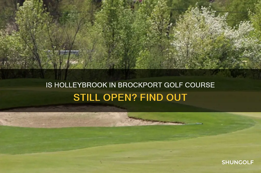 is holleybrook in brockport golf still open
