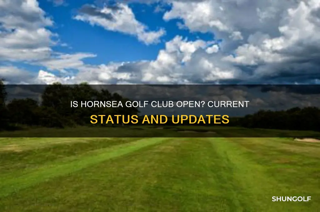 is hornsea golf club open