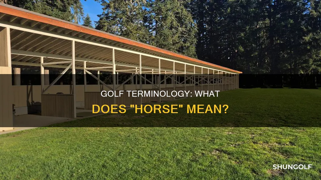 is horse a golf term