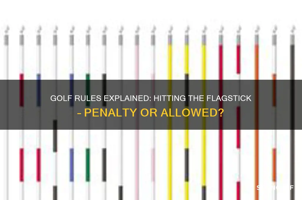 is it a penalty to hit the flag in golf