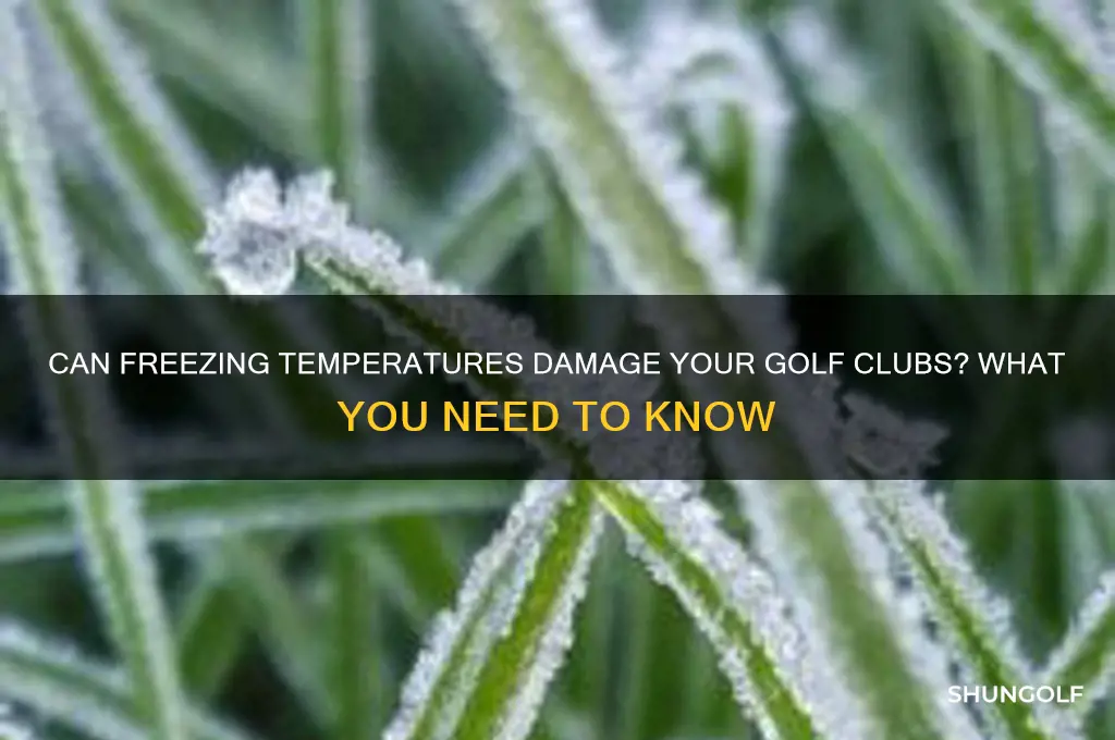 is it bad for golf clubs to freeze
