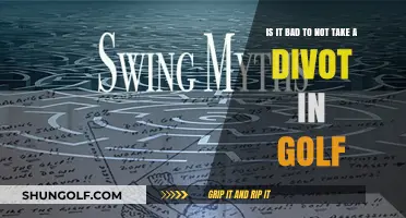 No Divot, No Problem? Debunking Golf Swing Myths