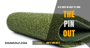 Putt Precision: The Debate Over Removing the Pin in Golf
