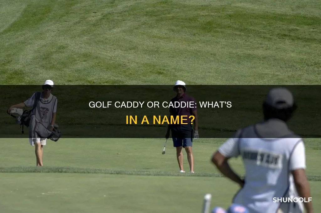 is it golf caddy or caddie
