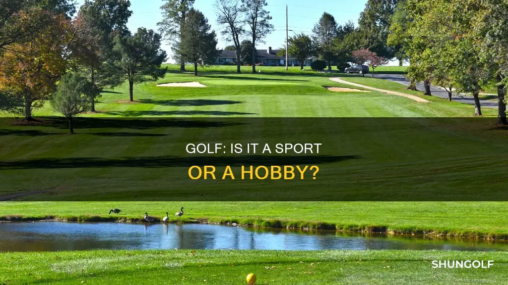 is it golf