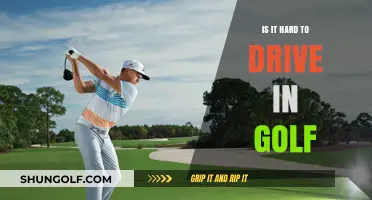 Navigating the Golf Course: A Beginner's Guide to Driving