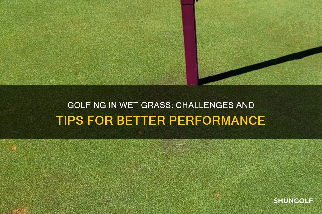 is it harder to golf in wet grass