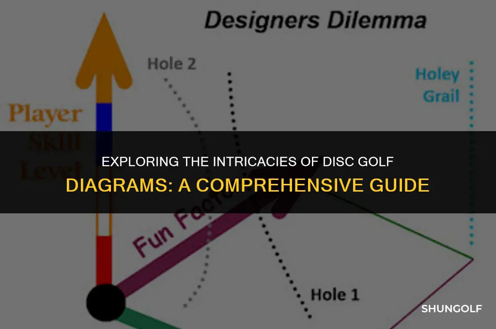 is it in disc golf diagram