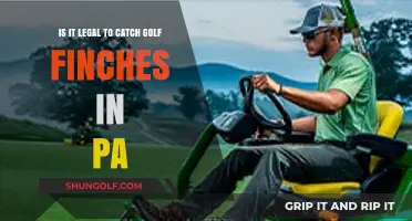 Is Catching Golf Finches Legal in Pennsylvania? Laws Explained