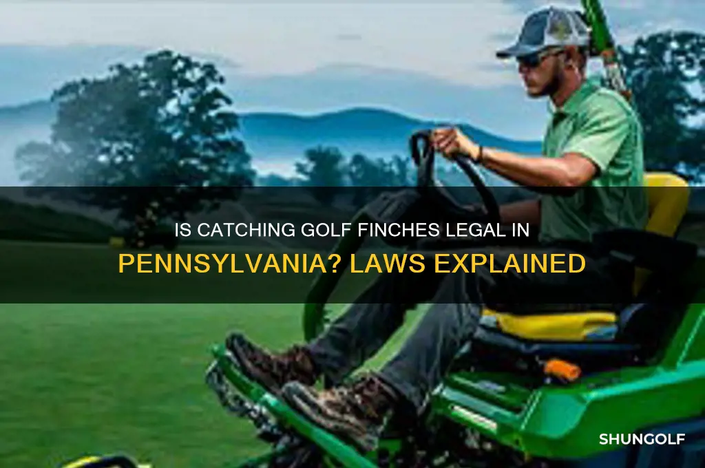 is it legal to catch golf finches in pa
