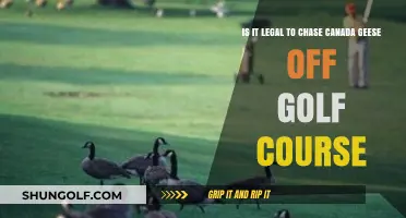 Chasing Canada Geese Off Golf Courses: Legal or Liability?