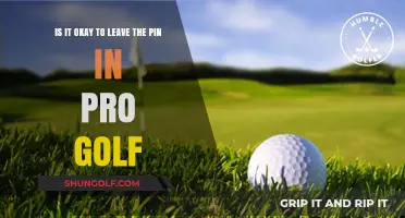 Leaving the Pin In: Pro Golf's Controversial Practice Explored