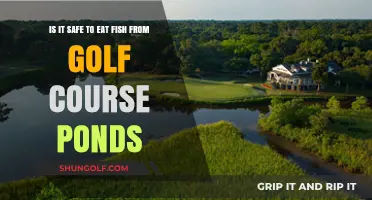 Is Golf Course Pond Fish Safe to Eat? Risks and Considerations