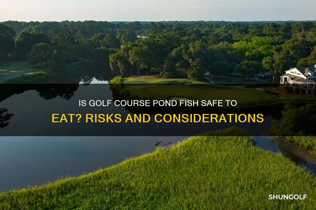is it safe to eat fish from golf course ponds