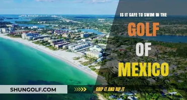 Is Swimming in the Gulf of Mexico Safe? Key Considerations