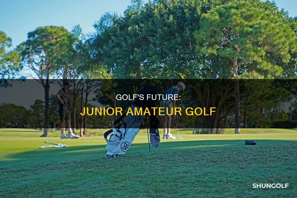 is junior amateur golf
